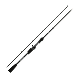 FAVORITE  X1.1  Casting